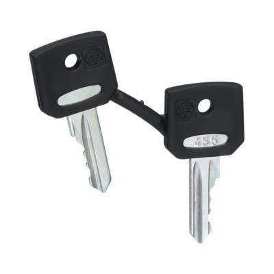 ZBG455 Schneider Harmony Set of 2 Keys Number 455 