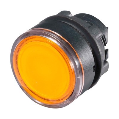 Illuminated Flush Pushbutton